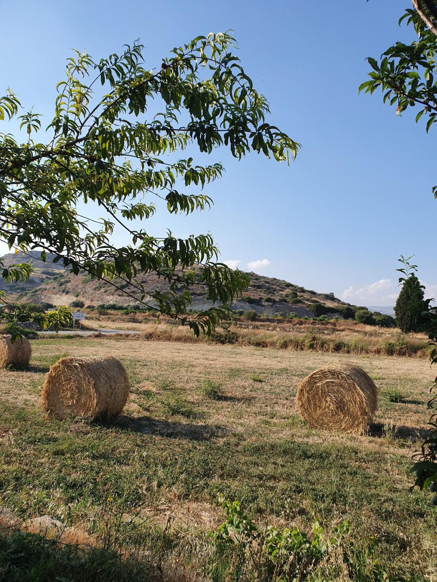 Vina Oliva Resort Писсури Экстерьер фото